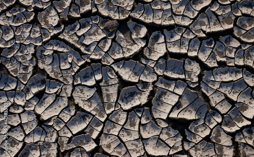 A pattern on dried silt. Dry land in the desert, Utah US