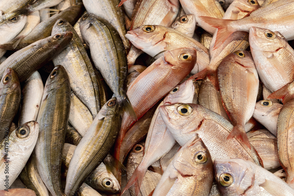 Obraz premium two kinds of different fish at fish market