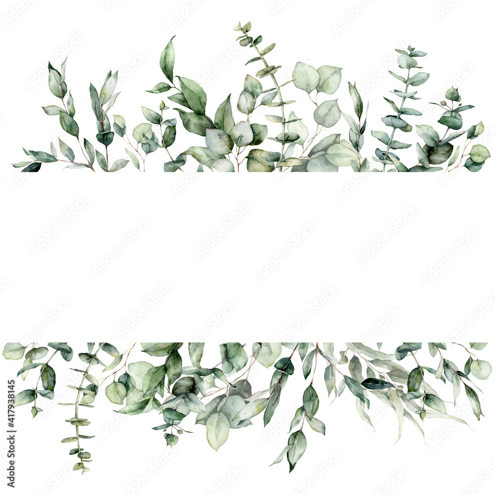 Watercolor floral border of eucalyptus branches, seeds and leaves. Hand ...