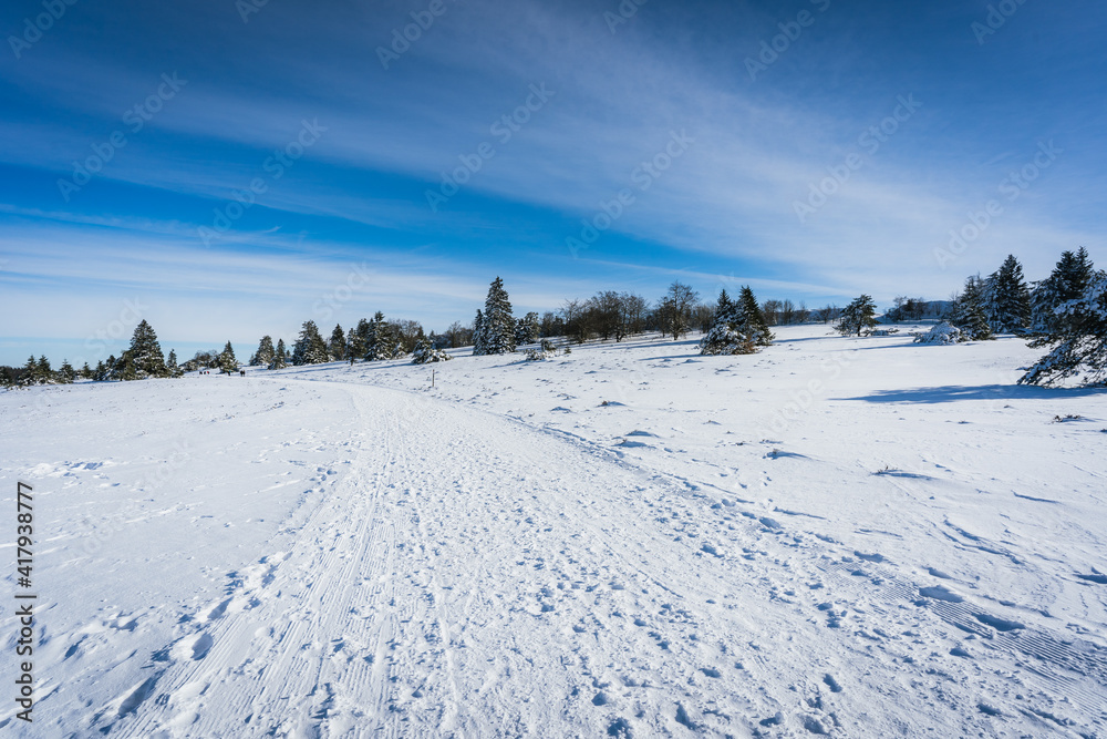 Winterlandschaft in der Hochheide am Clemensberg, Willigenm, Sauerland, Deutschland Winterlandschaft in der Hochheide am Clemensberg, Willigenm, Sauerland, Deutschland