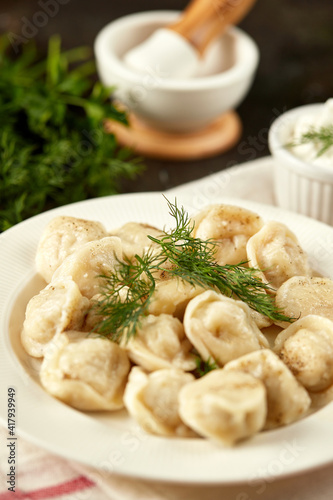 Homemade handmade dumplings, organic from farm meat with herbs and sauce, Russian national cuisine