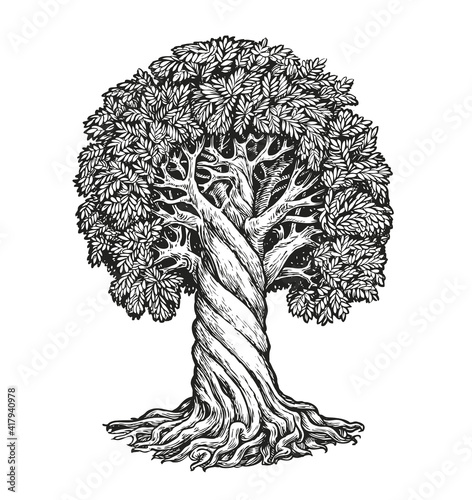 Tree isolated on white background. Nature concept sketch vector illustration