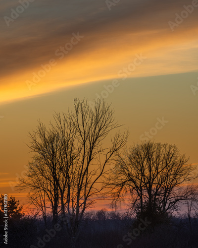 Arching clouds against a setting sun