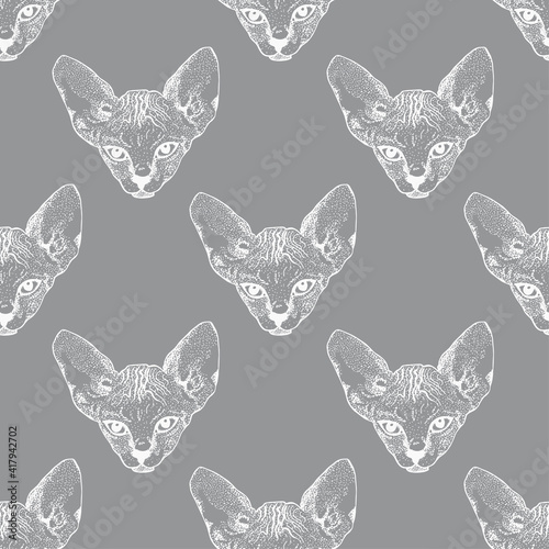 Sphynx Cat Drawing Pet Animal Print. Vector	