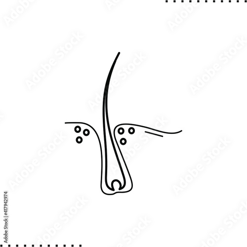 human hair anatomy vector icon in outlines