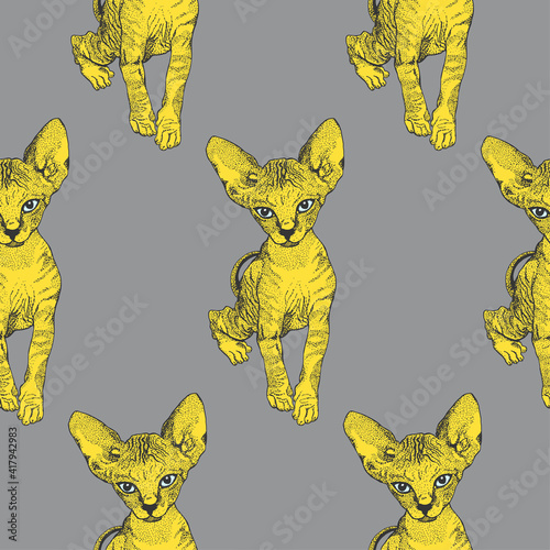 Sphinx Cat Drawing Pet Animal Print. Vector