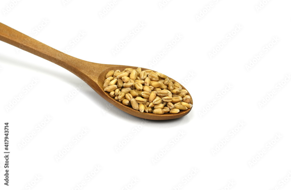 wheat grains in a wooden spoon isolated on white background. wheat grains in a wooden spoon isolated on white background.