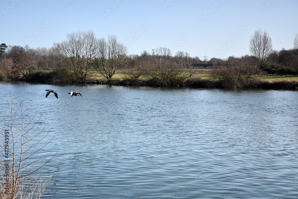 Panorama na rzeke , widok