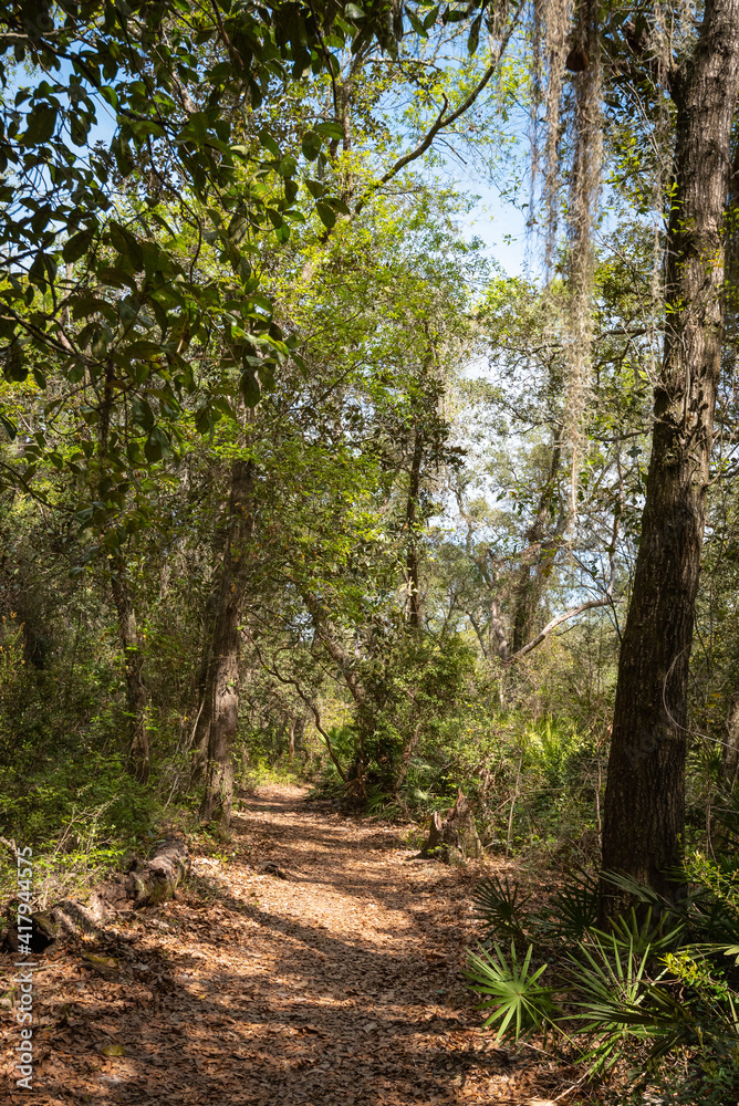 Beautiful walking path in a nature Park Beautiful walking path in a nature Park