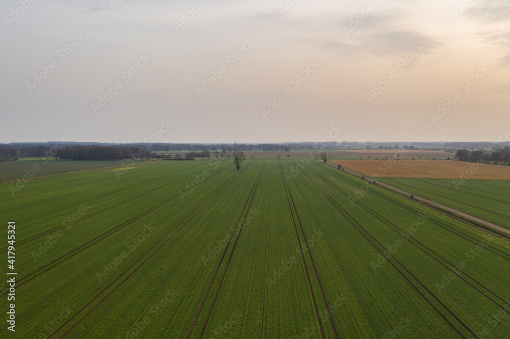 Obraz premium Aerial view on farm field at sunset