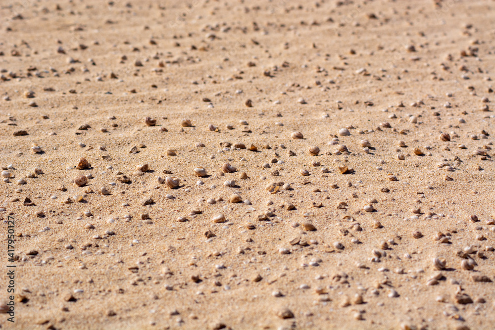 DUNES OF THE NATURAL PARK OF CORRALEJO DUNES OF THE NATURAL PARK OF CORRALEJO