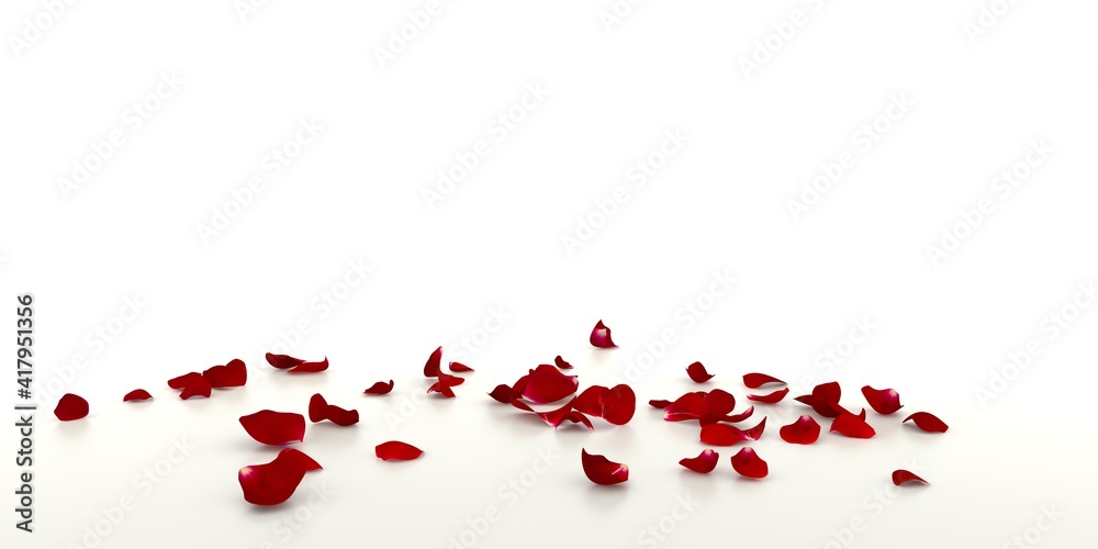 Red rose petals fall on the white mirrored floor Red rose petals fall on the white mirrored floor