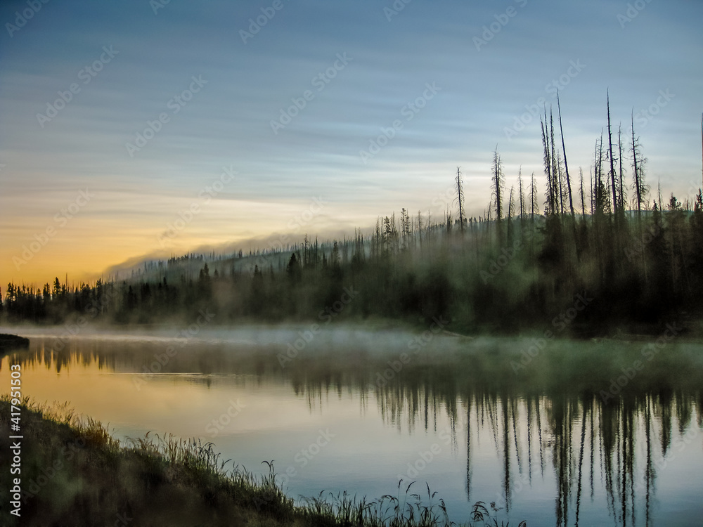 Mistic and surreal landscape with pine trees reflected in the Yellowstone River in Yellowstone National Park at sunrise with low fog, Wyoming, United States.