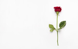 Photo overhead of rose and petals isolated on the white background