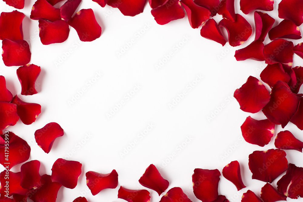 Photo overhead of roses and petals isolated on the white background Photo overhead of roses and petals isolated on the white background