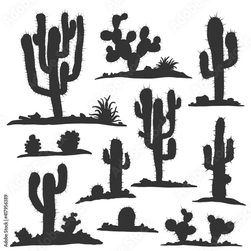 Different types of cactus plants realistic decorative icons set isolated on white background. Vector illustration.