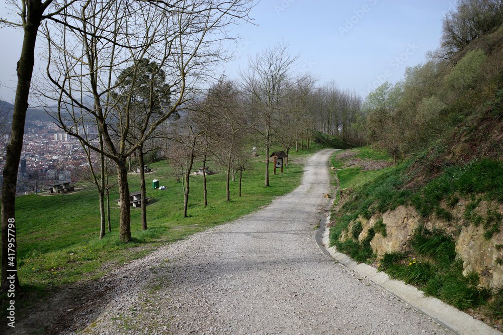 Road in the countryside