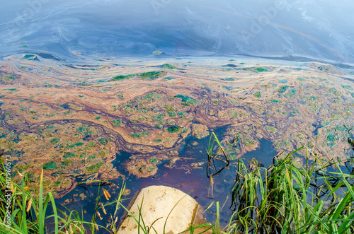 An environmental problem. Fuel oil and waste oil in the reservoir.