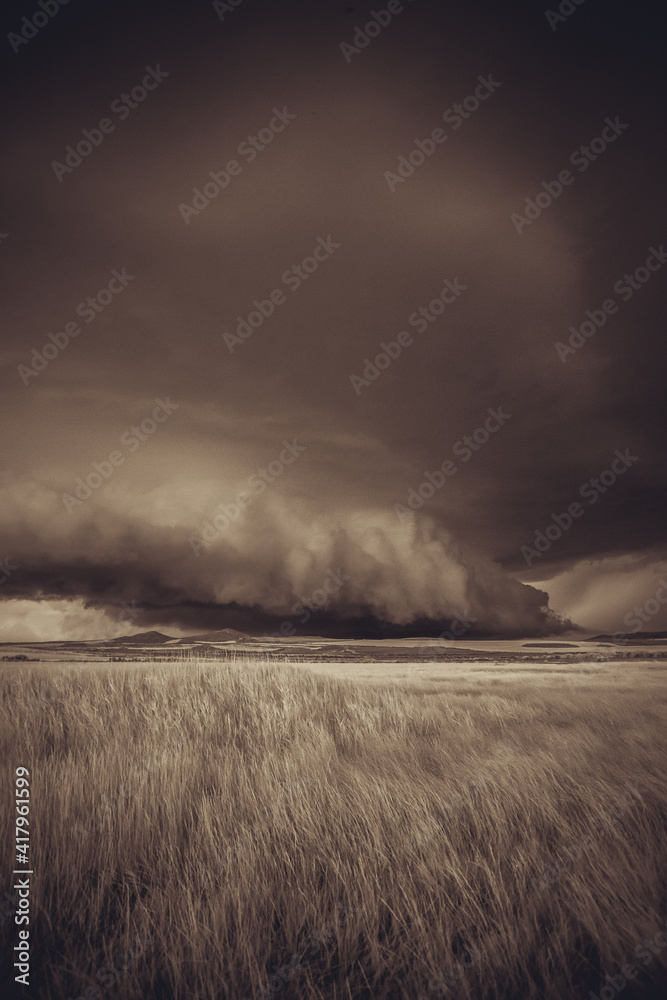 Tormenta sobre esparto Tormenta sobre esparto