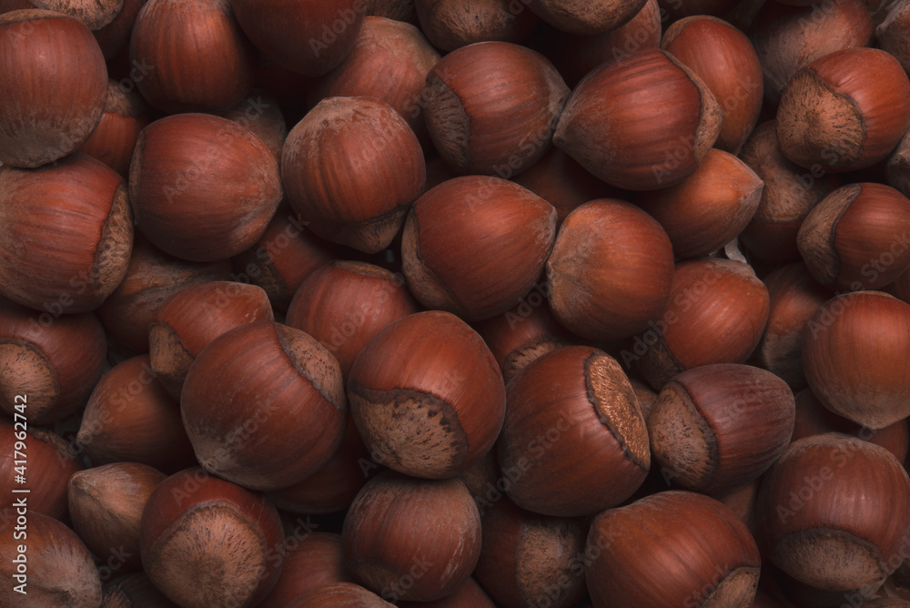 Hazelnuts in the shell, close-up. Background or texture of unpeeled hazelnuts. Hazelnuts in the shell, close-up. Background or texture of unpeeled hazelnuts.