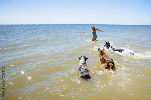 Woman playing in the ocean with three dogs, Fort De Soto, Pinellas County, Florida, USA photo