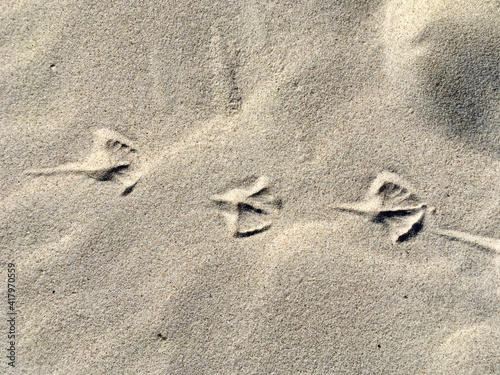Obraz na płótnie Spuren im Sand w salonie