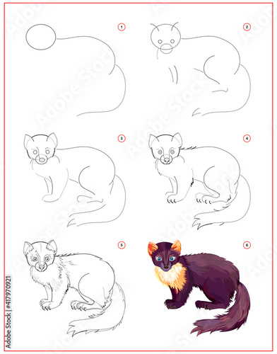 How to learn to draw marten. Educational page for children. Creation step by step animal illustration. Printable worksheet for kids school exercise book. Online education.