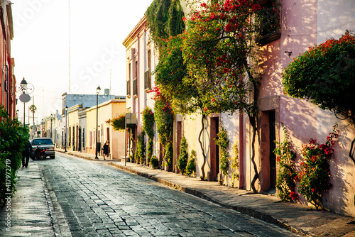 Beautiful street paved with cobblestone, with trees in a sunny summer day photo