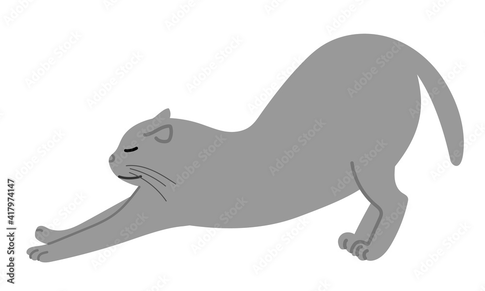 Gray cat having a big stretch. Vector illustration isolated on white background.