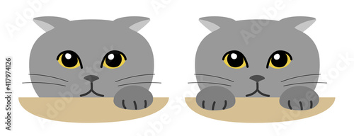 Gray cat secretly watching over from afar. Vector illustration isolated on white background.