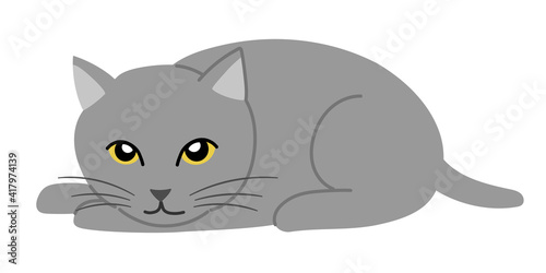 Gray cat lying face down. Vector illustration isolated on white background.