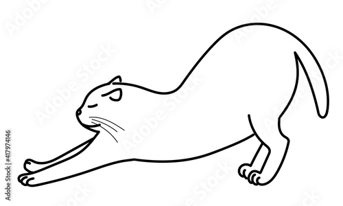 Cat having a big stretch. Line drawing on white background.