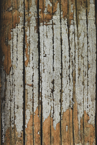 Texture of old bark Betel nut natural background