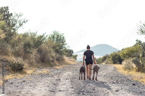 Caminata con perros en la montaña © UnMomentodeParpadeo