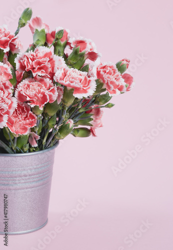 Fototapeta Naklejka Na Ścianę i Meble -  Beautiful blooming pink carnations