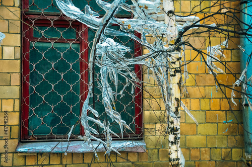 Frozen in the ice tree branches. Frozen tree branch in winter. photo
