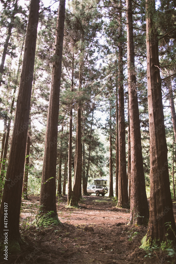 Fototapeta premium Overland camper with roof tent in forest