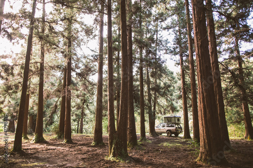 Overland camper with roof tent in forest