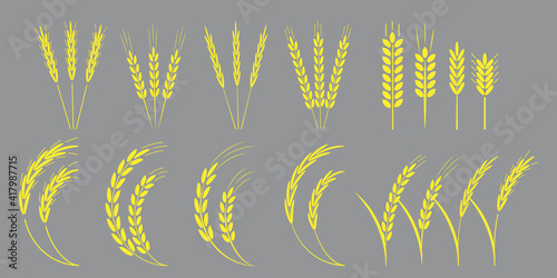 Collection with golden spikelets. Vector icon. Nature illustration. Stock image. EPS 10.