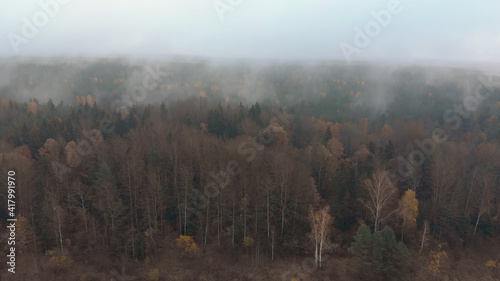Aerial: gloomy boundless forest landscape on a plain with fog coming out of the trees. Cool cloudy weather © motodrinker_395