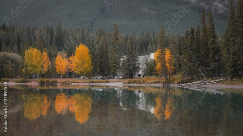 Bright yellow autumn trees and its reflections in Bow river near Banff city , Canada