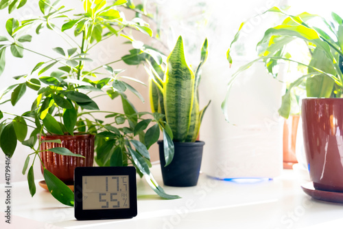 Healthy home. Thermometer and hygrometer. Air humidity measurement. Optimum humidity at home. Thermometer in the interior, among houseplants photo