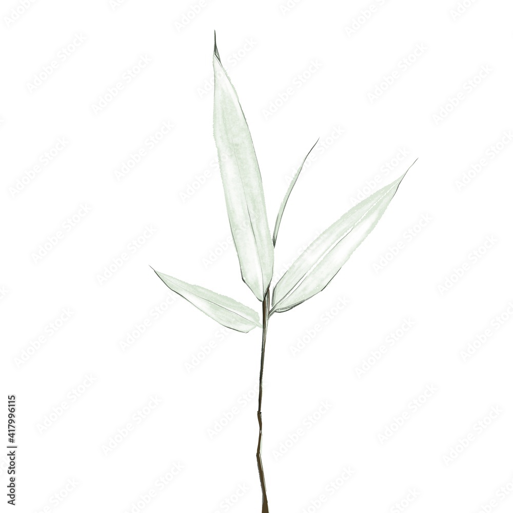 Obraz premium Bamboo leaf on a white background.