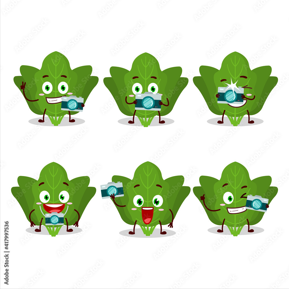 Photographer profession emoticon with spinach cartoon character Photographer profession emoticon with spinach cartoon character
