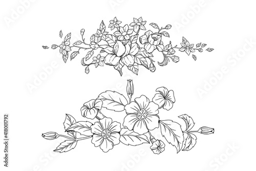 Set of hand drawn botanical elements ornamental vector