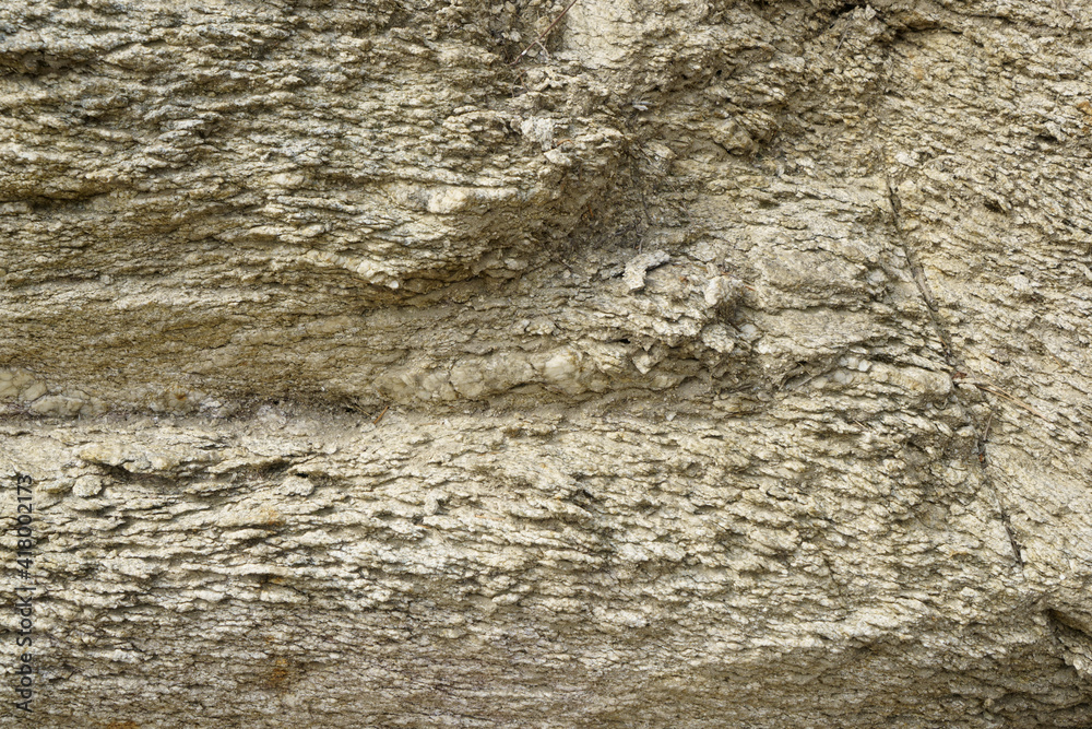 Fototapeta premium 석모도 갯벌