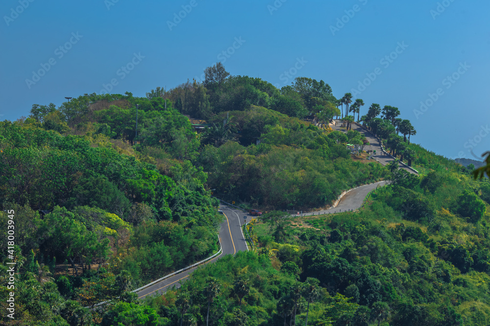 The background of the wooden bridge for walking or studying nature, mangrove forests, large trees surrounded and blurred through, cool weather during the day The background of the wooden bridge for walking or studying nature, mangrove forests, large trees surrounded and blurred through, cool weather during the day