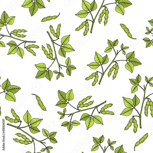 Seamless pattern with soya bean, edible plant