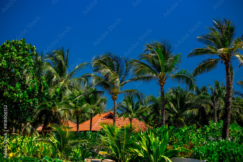 Wide-angle nature background, clear air, beautiful blue sea, and the blur of the sun and the passing wind, spontaneous beauty in the scenic spots. Wide-angle nature background, clear air, beautiful blue sea, and the blur of the sun and the passing wind, spontaneous beauty in the scenic spots.