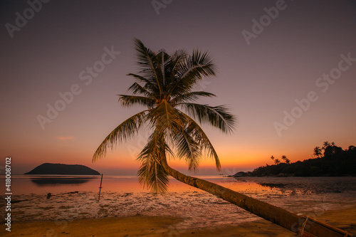 coconut tree and sunset on the beach